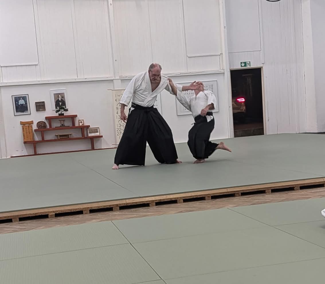 Aikido_Seminar_1_2026
