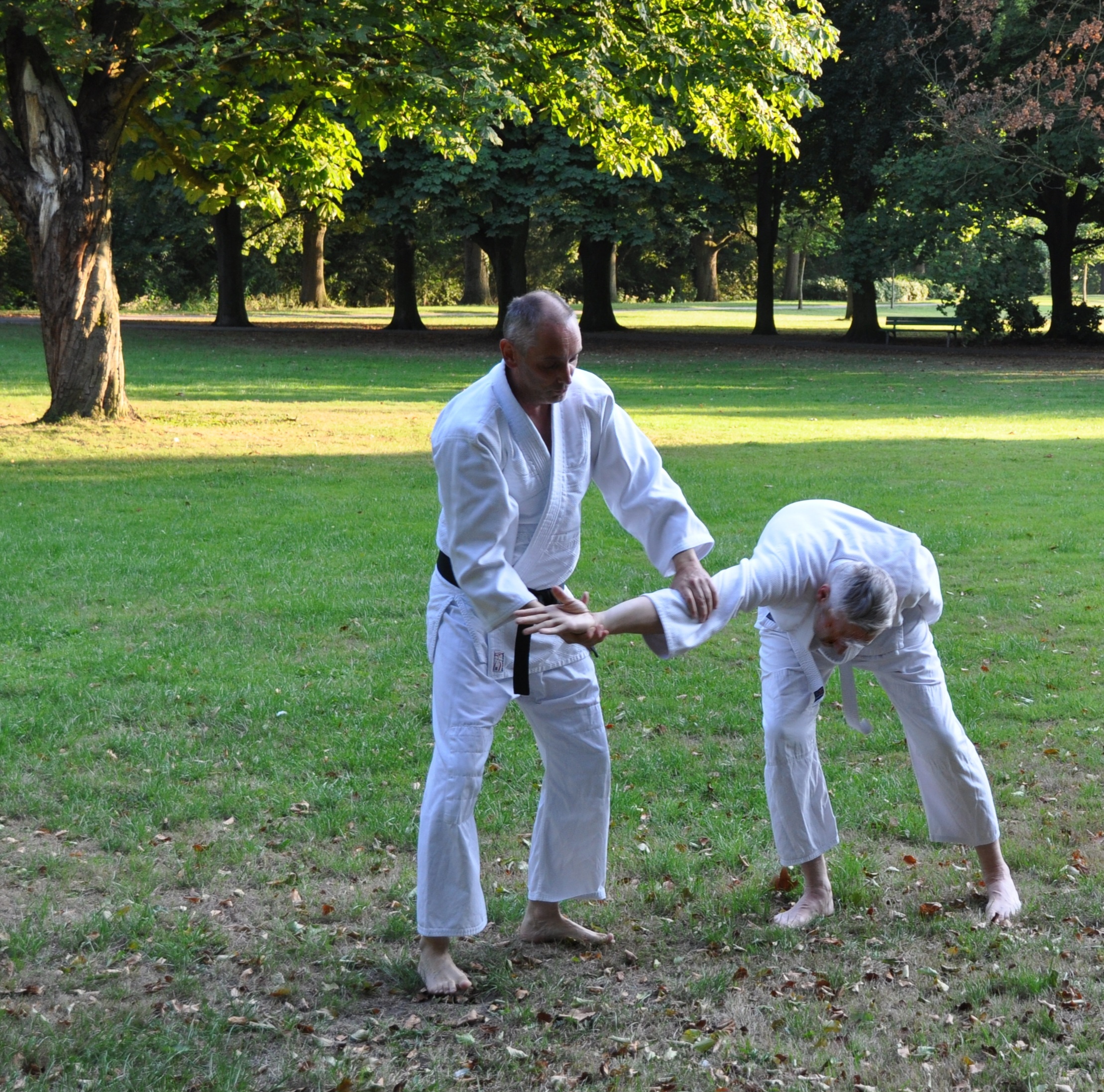 Aikido Training beim Sport im Park