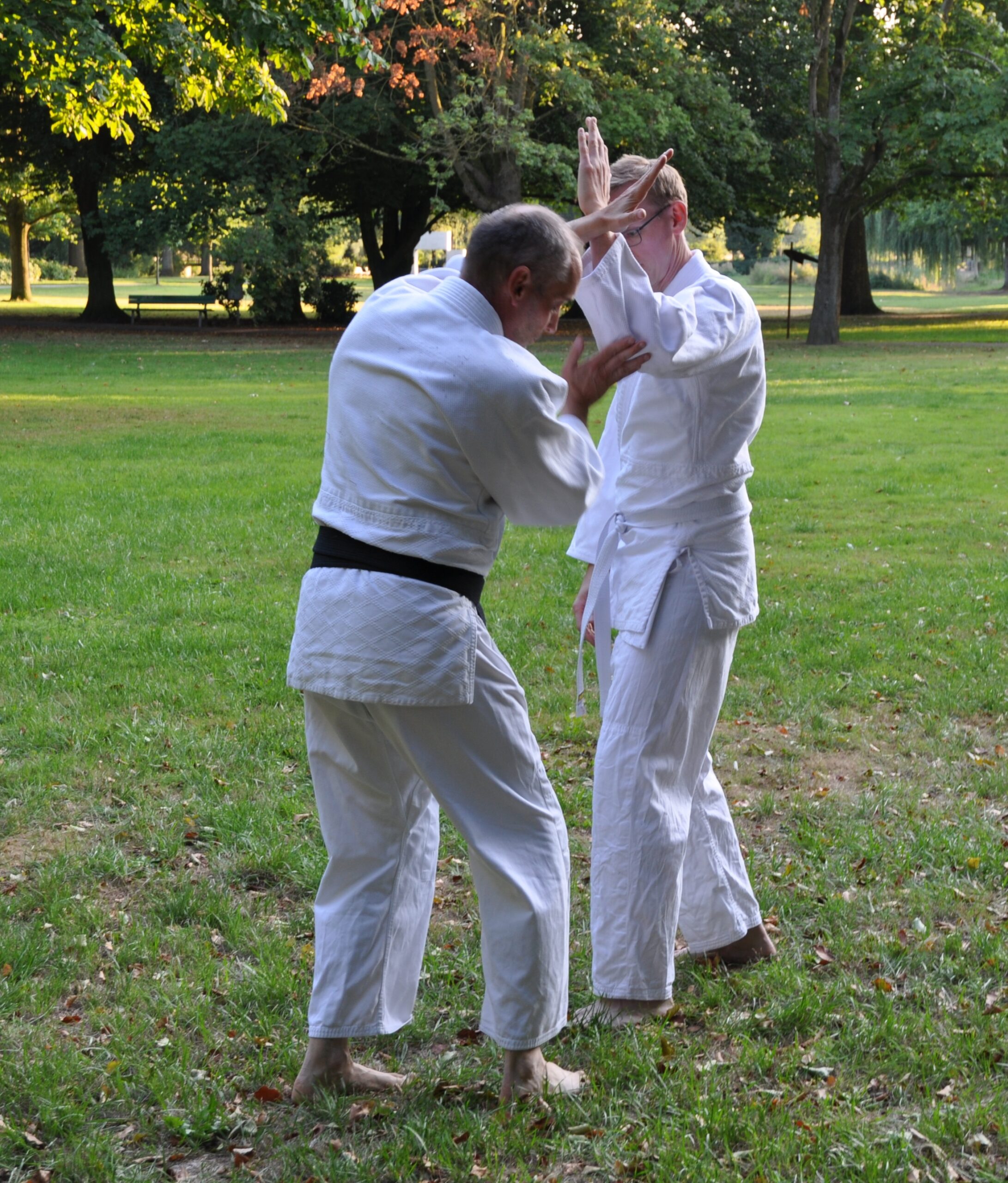Aikido Gruppe beim Sport im Park in Senden